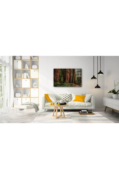 Doğa Cam Tablo 4mm Dayanıklı Temperli Cam - Resim 2