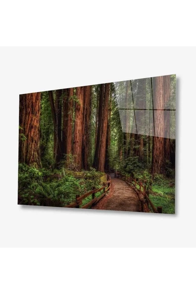 Doğa Cam Tablo 4mm Dayanıklı Temperli Cam ürün görseli