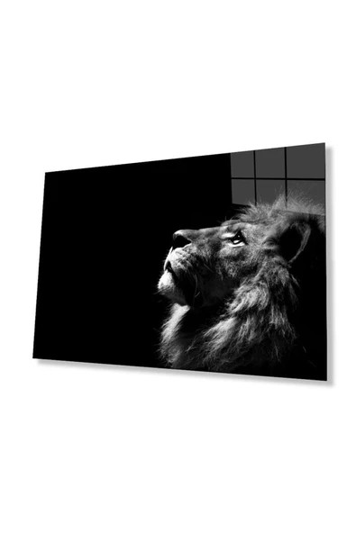 Aslan Cam Tablo 4mm Dayanıklı Temperli Cam ürün görseli