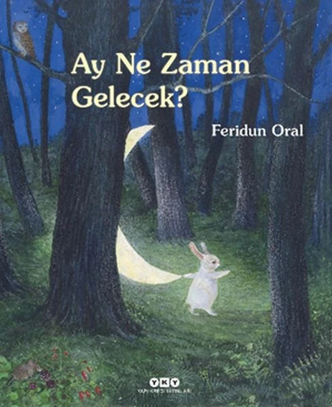 Ay Ne Zaman Gelecek? ürün görseli 1