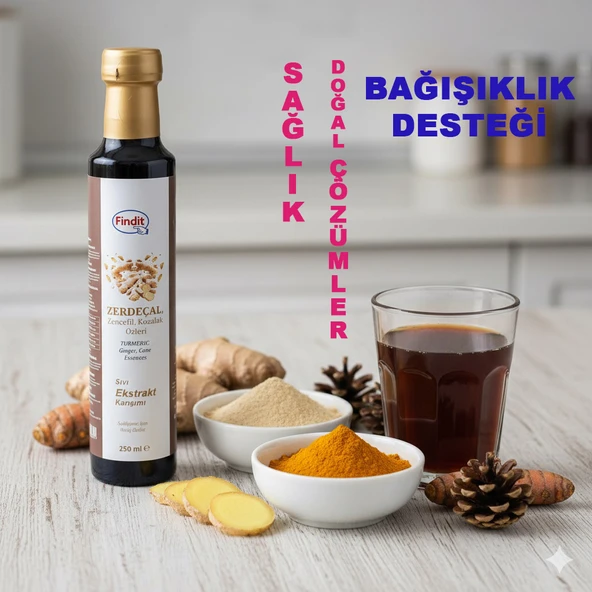 Findit Zerdecal Zencefil Kozalak Özleri, Sıvı Ekstrakt Karışımı, Doğal Bitkisel Destek 250ml - Resim 3
