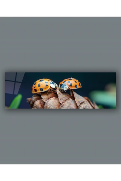 Uğurböcekleri Panoramik Cam Tablo Hediyelik Büyük Tablo Ev Ofis Dekoru ürün görseli