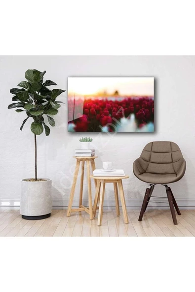 Doğa Cam Tablo 4mm Dayanıklı Temperli Cam - Resim 2