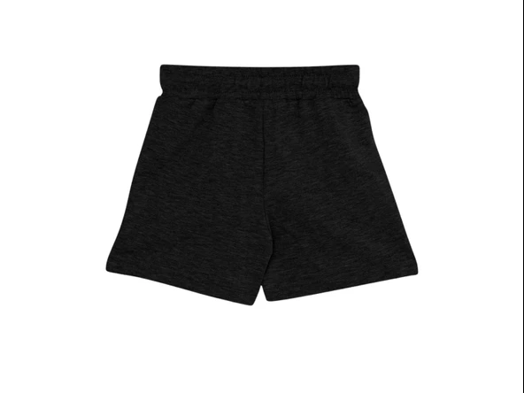 DÜZ PENYE ERKEK ŞORT (2 ADET) ürün görseli 1