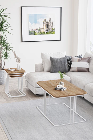 Orta Sehpa , Lyon Orta Sehpa , Beyaz Metal - Atlantik Çam Tabla - Resim 2