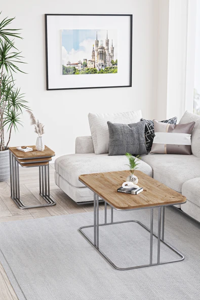 Orta Sehpa , Lyon Orta Sehpa , Gümüş Metal - Atlantik Çam Tabla - Resim 2