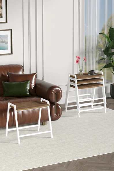 Zigon Sehpa , Aden 4'lü Tepsi Zigon Sehpa Takımı Beyaz Metal - Atlantik Çam Tabla - Resim 4