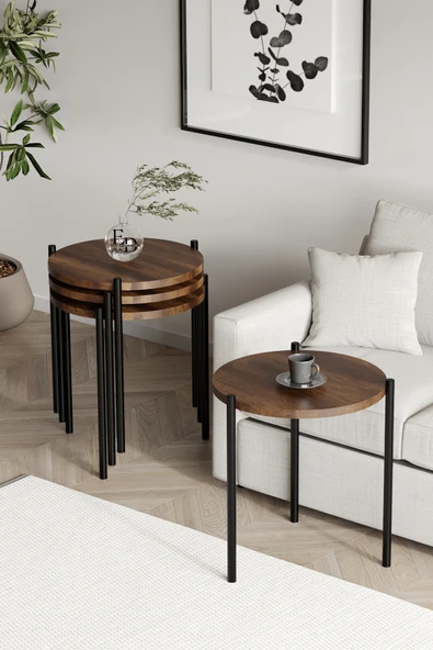 Zigon Sehpa , Nice 4'lü Zigon Sehpa Takımı , Siyah Metal - Barok Tabla - Resim 2