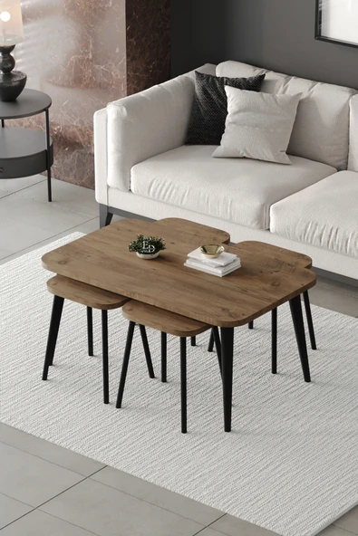 Zigon ve Orta Sehpa 5'li Takım , Metal Ayaklı , Roma 4+1 Sehpa , Siyah Metal - Atlantik Çam Tabla ürün görseli