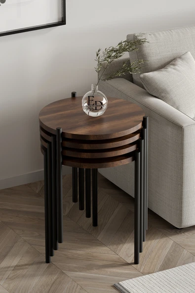 Zigon Sehpa , Nice 4'lü Zigon Sehpa Takımı , Siyah Metal - Barok Tabla ürün görseli