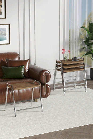 Zigon Sehpa , Aden 4'lü Tepsi Zigon Sehpa Takımı Gümüş Metal - Atlantik Çam Tabla - Resim 4