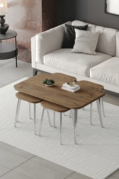 Zigon ve Orta Sehpa 5'li Takım , Metal Ayaklı , Roma 4+1 Sehpa , Gümüş Metal - Atlantik Çam Tabla ürün görseli