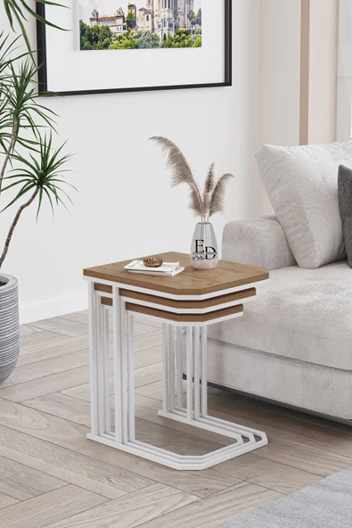 Zigon Sehpa , Lyon 3'lü C Zigon Sehpa Takımı , Beyaz Metal - Atlantik Çam Tabla - Resim 3