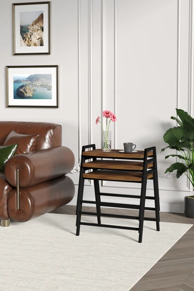 Zigon Sehpa , Aden 3'lü Tepsi Zigon Sehpa Takımı Siyah Metal - Barok Tabla - Resim 3