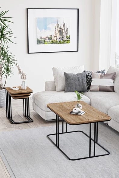 Orta Sehpa , Lyon Orta Sehpa , Siyah Metal - Atlantik Çam Tabla - Resim 2