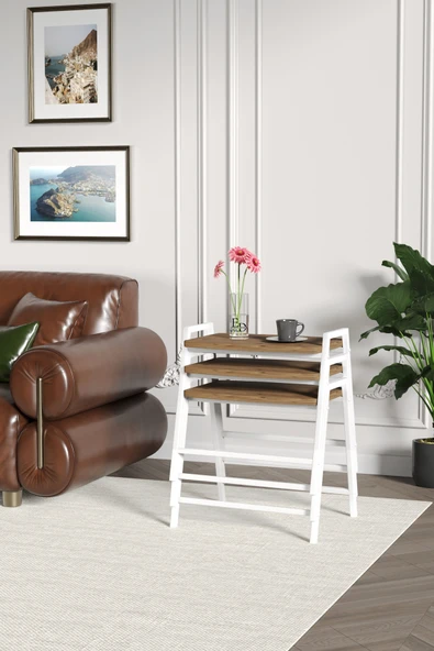 Zigon Sehpa , Aden 3'lü Tepsi Zigon Sehpa Takımı Beyaz Metal - Atlantik Çam Tabla - Resim 3