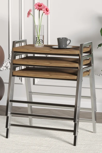 Zigon Sehpa , Aden 3'lü Tepsi Zigon Sehpa Takımı Gümüş Metal - Atlantik Çam Tabla - Resim 2