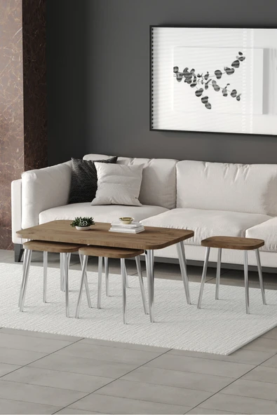 Zigon ve Orta Sehpa 5'li Takım , Metal Ayaklı , Roma 4+1 Sehpa , Gümüş Metal - Atlantik Çam Tabla - Resim 2