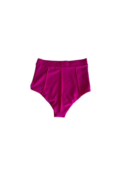 Zi Pembe Süper Yüksek Bel Brelya Model Bikini Altı - Resim 4