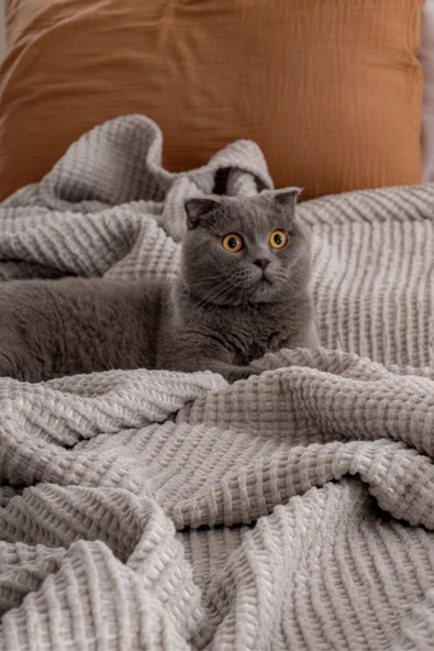 Rayme Textile Area Serisi 240x260 cm Çift Kişilik %100 Pamuk Yorgan – 5 Renk Alternatifli, Ultra Yumuşak Dokulu - Resim 7