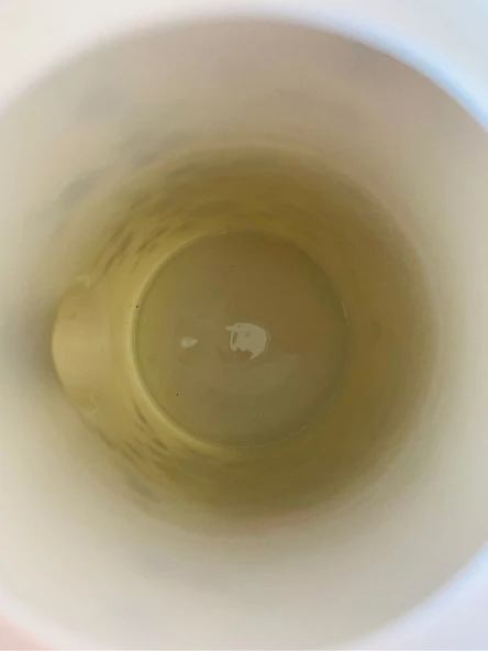 Antika Seltmann Weiden Alman Porseleni Mavi Çiçek Desenli Büyük Kahve Demleme Potu/Coffee Pot - Resim 3