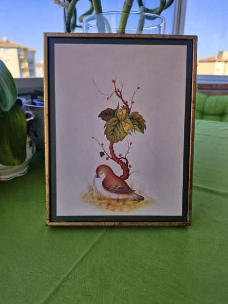 English Home Robin Bird Ardıç Kuşu Gold Detaylı Doğa Temalı Altın Ahşap Dekoratif Tablo - Resim 3