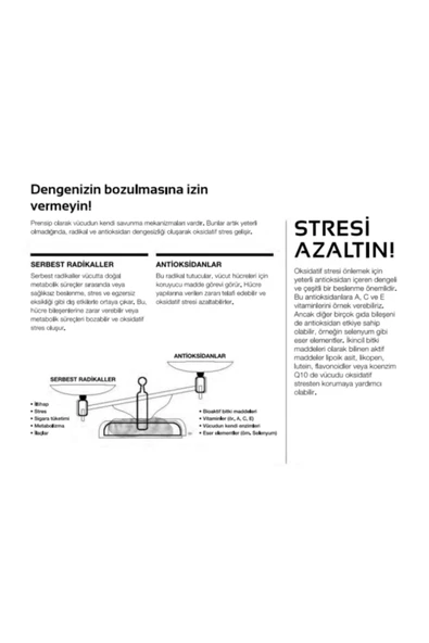 LR Lıfetakt Master Drink Red (mind Master) 500ml X 3 Adet - Resim 3