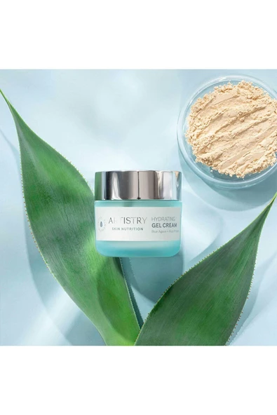 Artistry Skin Nutrition Amway Artıstry Nemlendirici Jel Krem - Resim 2