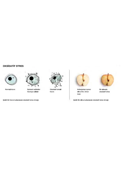 LR Lıfetakt Master Drink Red (mind Master) 500ml X 3 Adet - Resim 2