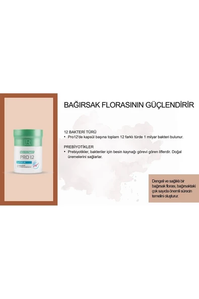 LR Lifetakt Pro 12 Probiyotik 30 Kapsül - Resim 4
