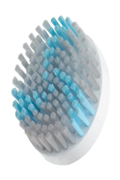 LR Zeitgard 1 Fırça Başlığı Klasik ürün görseli