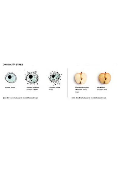 LR Master Drink Red + Green (mind Master) 500ml X 2 Adet - Resim 2