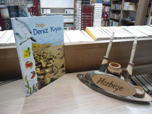 DOĞA - DENİZ KIYISI ürün görseli 1