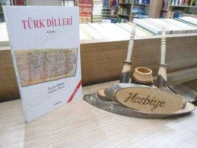 TÜRK DİLLERİ - GİRİŞ ürün görseli