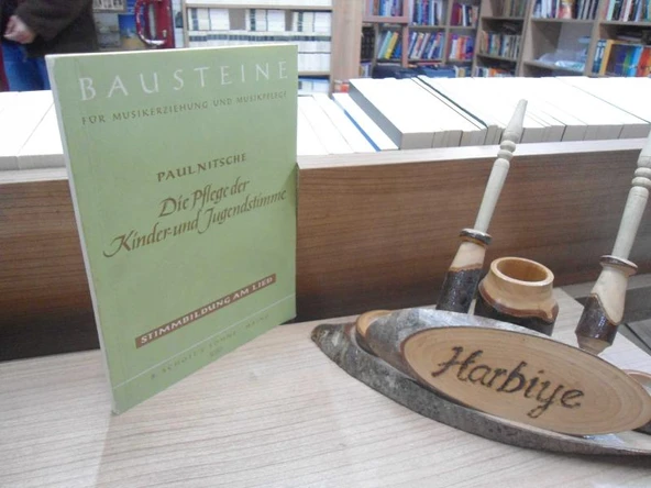 DIE PFLEGE DER KINDER-UND JUGENDSTIMME ürün görseli 1