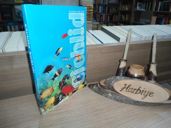 CICHLID BALIKLARI ürün görseli 1
