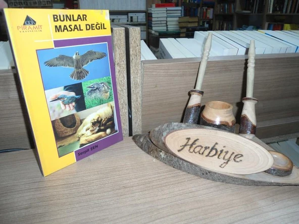 BUNLAR MASAL DEĞİL ürün görseli 1