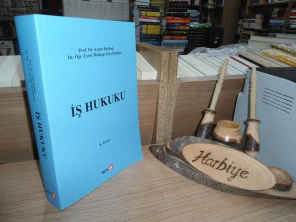 İŞ HUKUKU / ÇALIŞANLARIN HAKLARI VE SORUNLARI - 6. BASKI ürün görseli