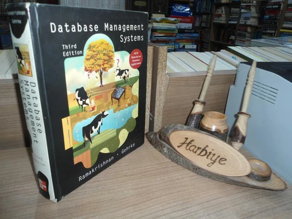 DATABASE MANAGEMENT SYSTEMS - THIRD EDITION / CİLTLİ ürün görseli