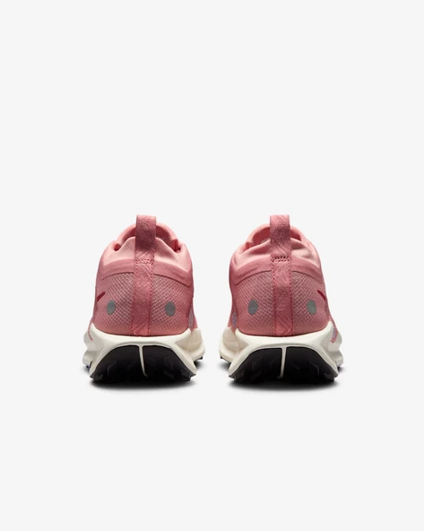 Nike Pegasus Trail 5 GORE-TEX     FQ0912-602 - Resim 4