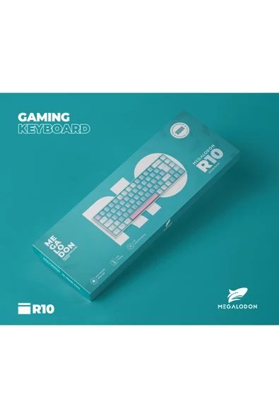 R10 Mekanik Klavye Full Anti-Ghosting Hot Swap Blue Switch Oyuncu Klavyesi (Türkçe) Buz Mavisi Işık - Resim 4