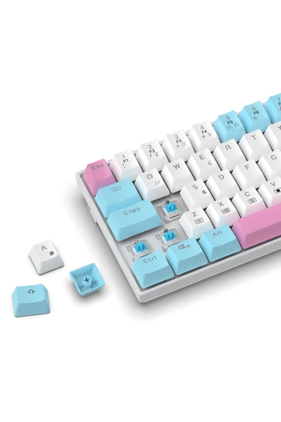 R10 Mekanik Klavye Full Anti-Ghosting Hot Swap Blue Switch Oyuncu Klavyesi (Türkçe) Buz Mavisi Işık - Resim 3