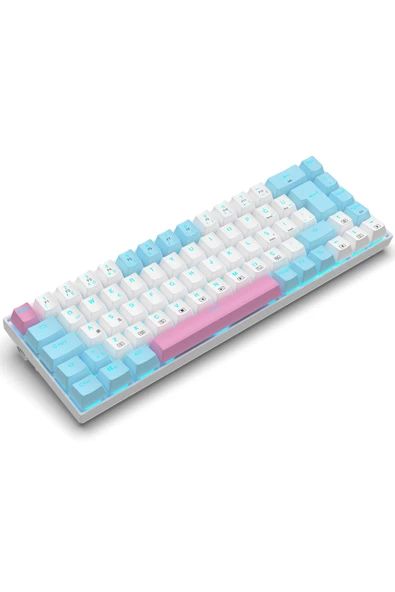 R10 Mekanik Klavye Full Anti-Ghosting Hot Swap Blue Switch Oyuncu Klavyesi (Türkçe) Buz Mavisi Işık - Resim 8