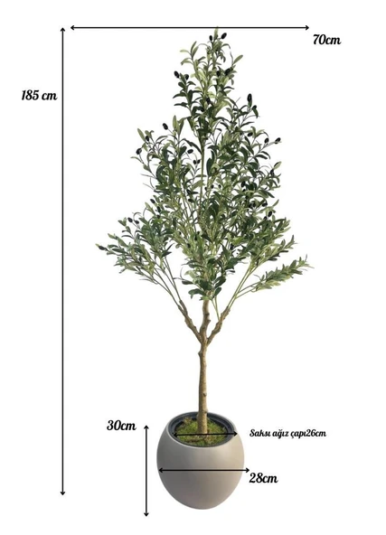 Yapay Zeytin Ağacı 185cm Doğal Görünümlü Yapay Ağaç Mokka Renk 30cm Küre Saksıda - Resim 7