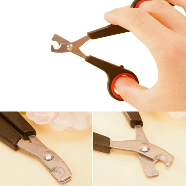 Evcil Hayvan Tırnak Makası Ve Törpü Seti Manikür Pedikür Pati Bakım Aleti Kaymaz Sap (5314) - Resim 2