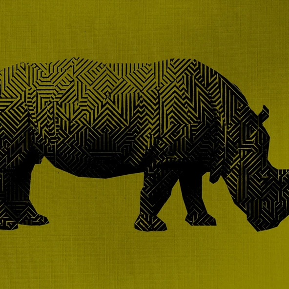 Gergedan , Hipopotam Soyut Çalışma Kanvas Tablo 50 x 70 - Resim 2