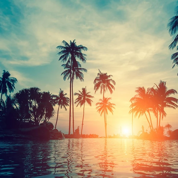 Palmiyeler ve Nehir Günbatımı Kanvas Tablo 60 x 120 - Resim 2