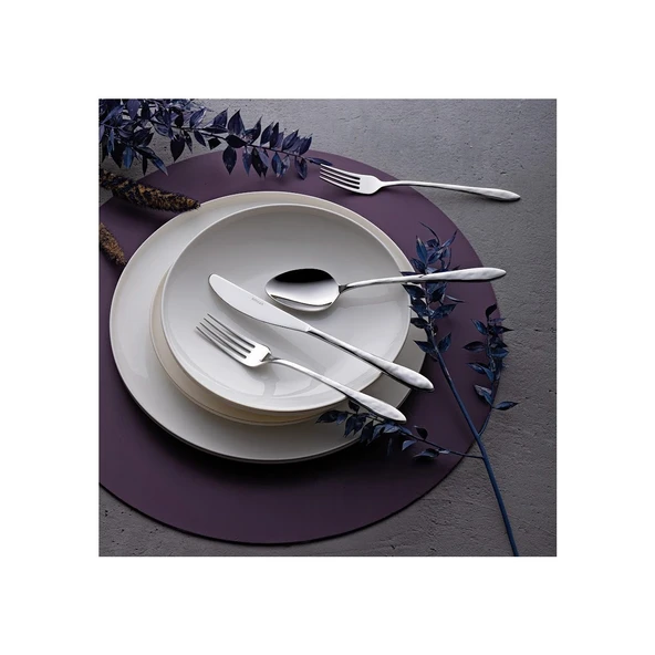 Emsan Akasya 24 Parça 6 Kişilik Kutulu Çatal Kaşık Bıçak Takımı - Resim 2