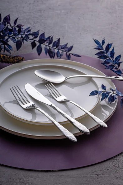 Emsan Akasya 24 Parça 6 Kişilik Kutulu Çatal Kaşık Bıçak Takımı - Resim 7