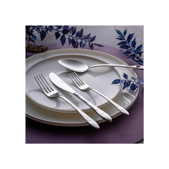 Emsan Akasya 24 Parça 6 Kişilik Kutulu Çatal Kaşık Bıçak Takımı - Resim 3